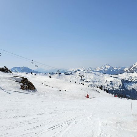 Châtel Chalet Cannelle מראה חיצוני תמונה