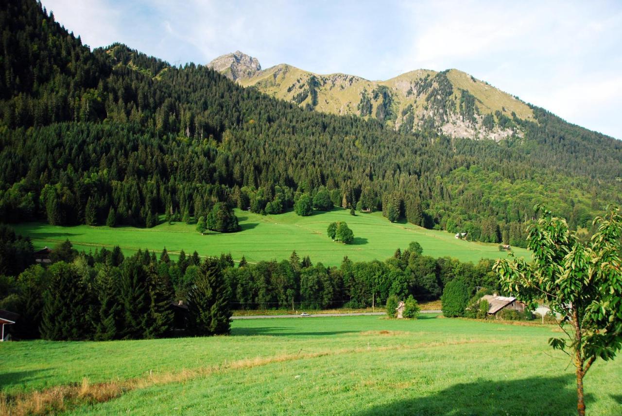 Châtel Chalet Cannelle מראה חיצוני תמונה