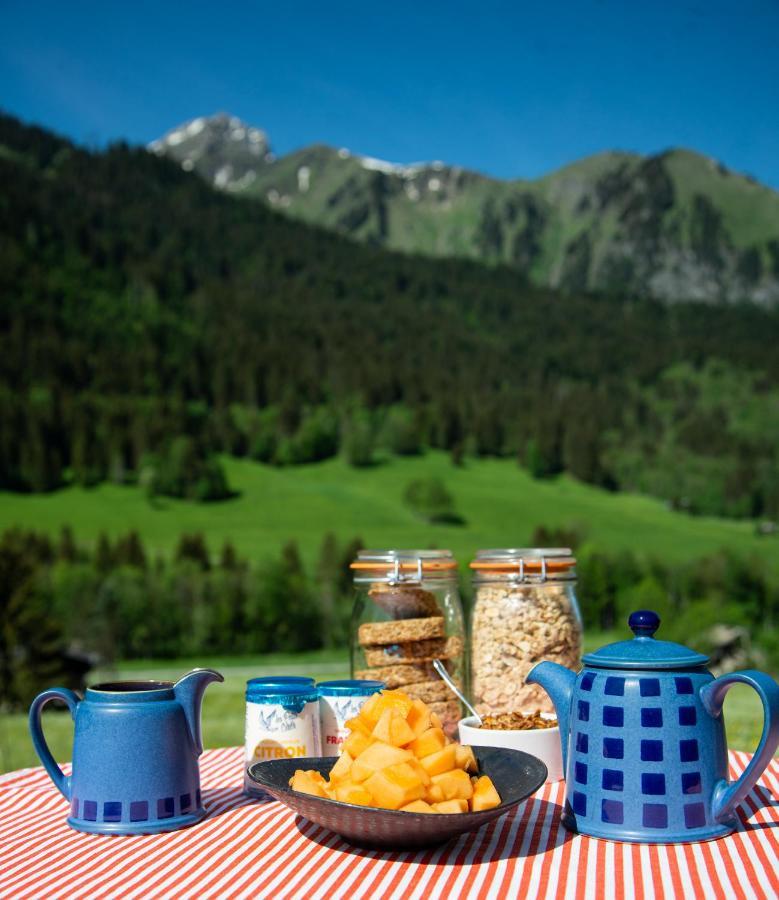 Châtel Chalet Cannelle מראה חיצוני תמונה