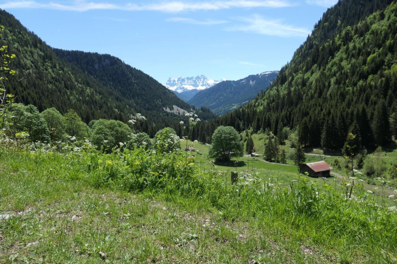 Châtel Chalet Cannelle מראה חיצוני תמונה