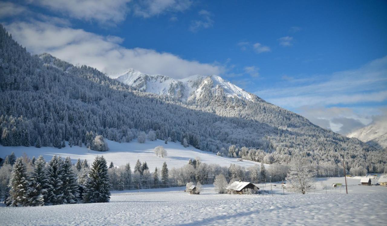 Châtel Chalet Cannelle מראה חיצוני תמונה