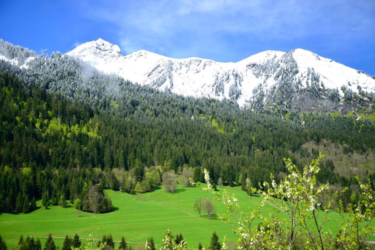 Châtel Chalet Cannelle מראה חיצוני תמונה