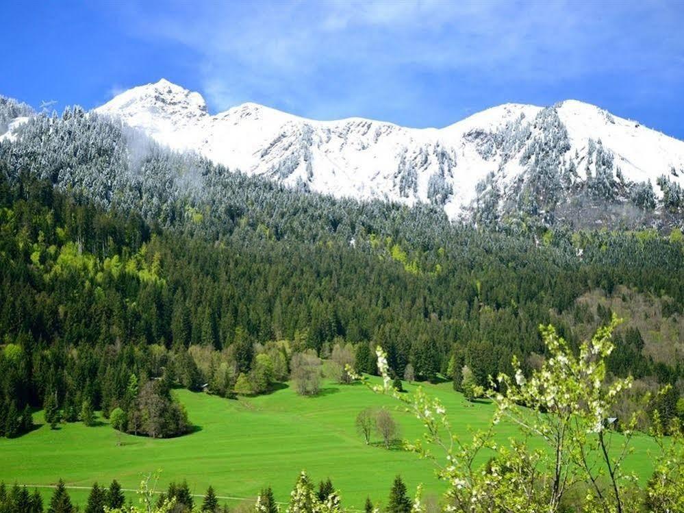 Châtel Chalet Cannelle מראה חיצוני תמונה