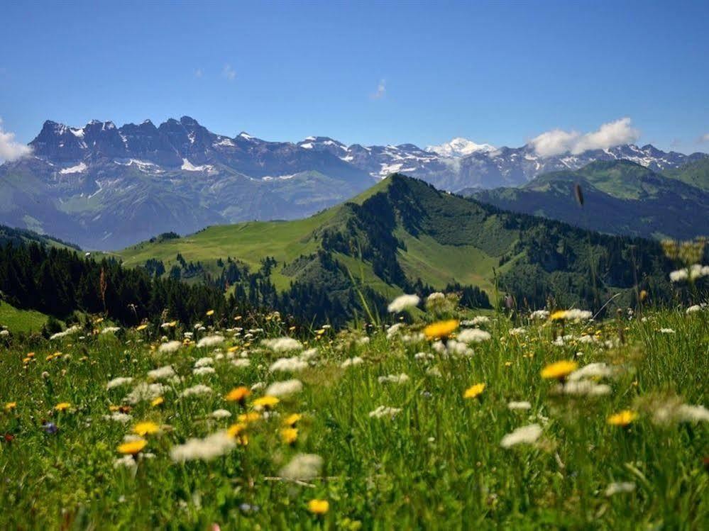 Châtel Chalet Cannelle מראה חיצוני תמונה